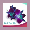 24-7 The �70s live