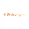 Birdsong Radio live
