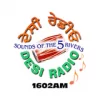 Desi Radio 1602 live